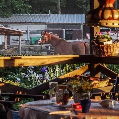 Afryka-puszcza Kampinoska アパート