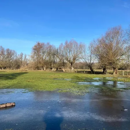 アパート Afryka-puszcza Kampinoska Leoncin