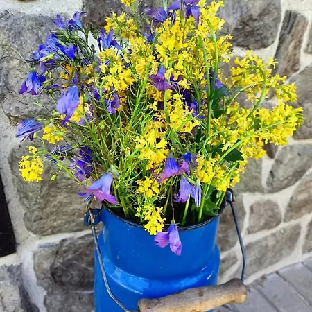 Afryka-puszcza Kampinoska アパート Leoncin