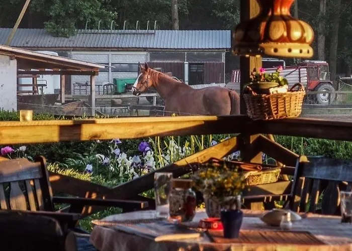 Afryka-puszcza Kampinoska شقة