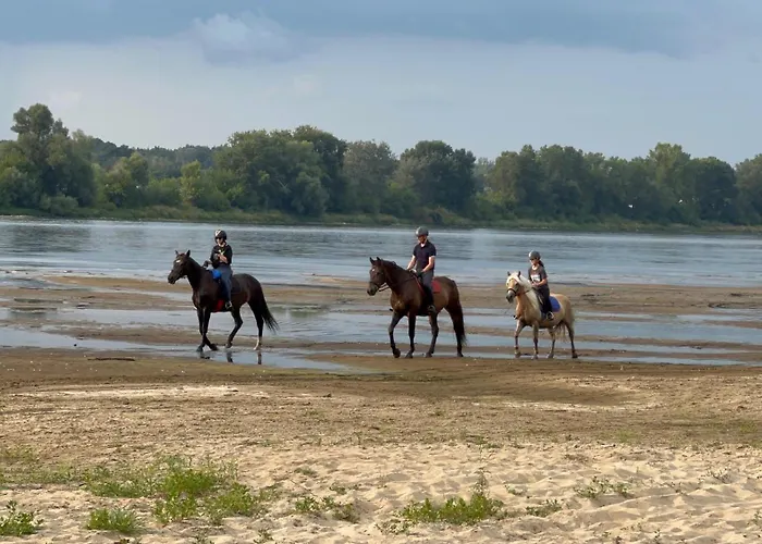 Afryka-puszcza Kampinoska Leoncin