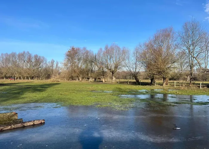 شقة Afryka-puszcza Kampinoska Leoncin