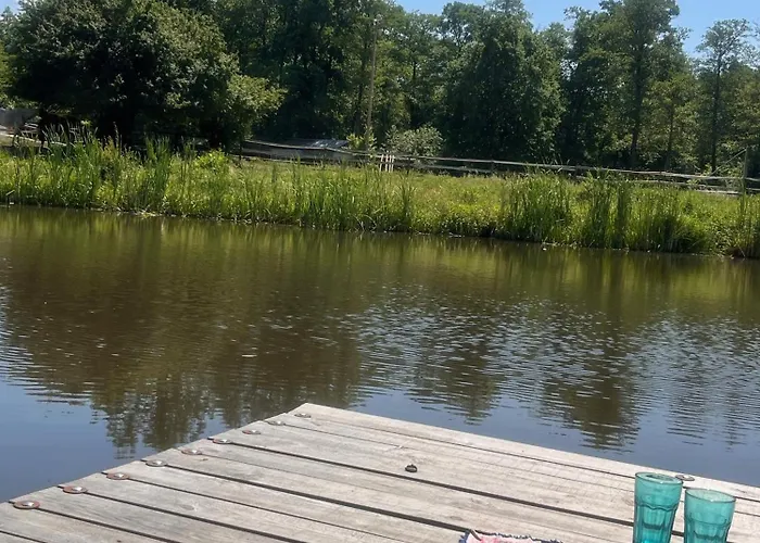 Afryka-puszcza Kampinoska *