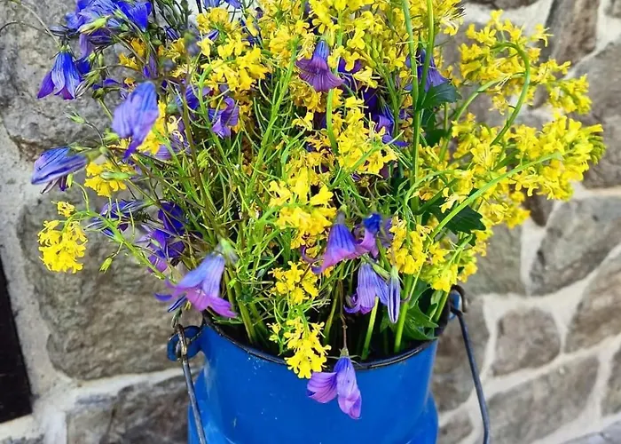 Afryka-puszcza Kampinoska شقة Leoncin