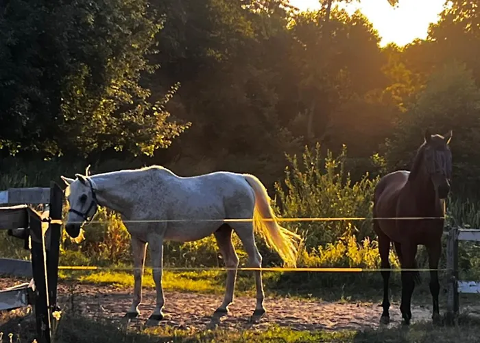 شقة Afryka-puszcza Kampinoska